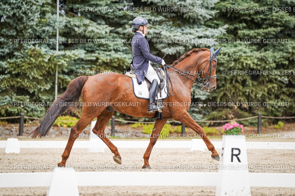 DSC05857 | Pferdegrafie