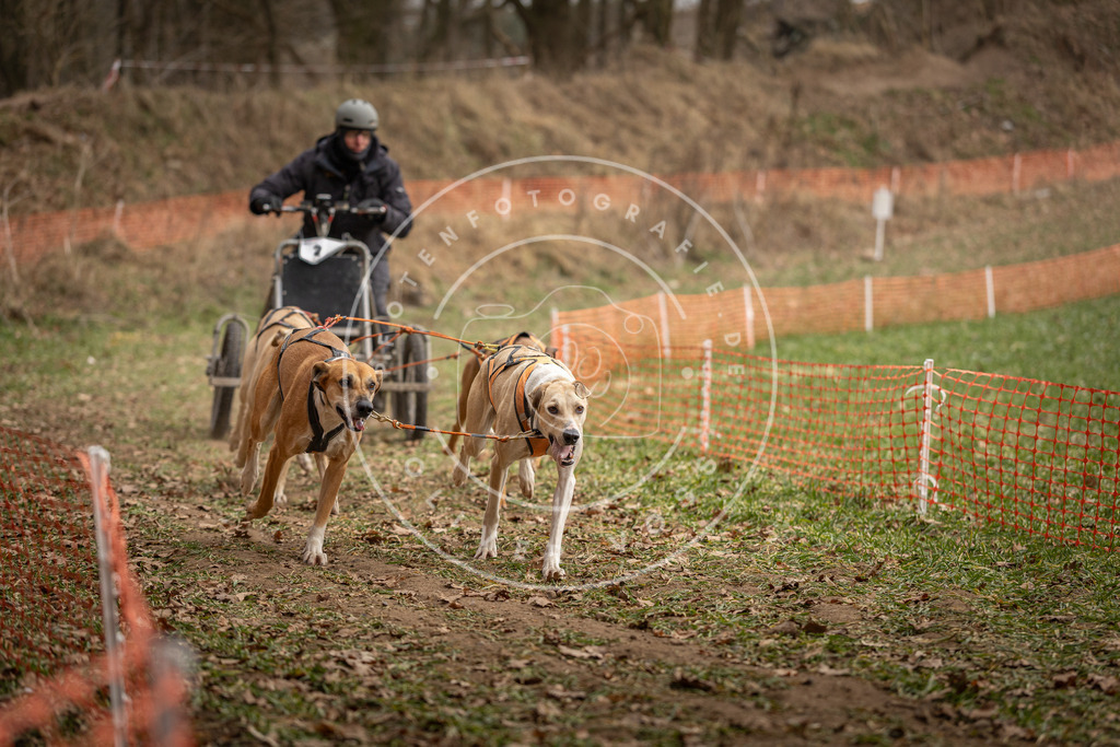 Pfotenfotografie_DV3A8123 | Hundefotografie, Tierfotograf, Pfotenfotografie, Fotoshooting Hund, Hunde Portrait, Hundesport, Hundeportraits, Heideshooting, Hunde, Sportfotograf, Hundefotograf, Turnierhundsport, THS,  - Realisiert mit Pictrs.com