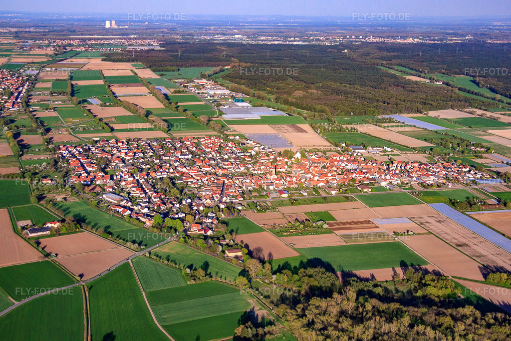 Luftbild: Ortsansicht von Westen in Zeiskam im Bundesland Rheinland-Pfalz in Deutschland. Foto: IMG_56754.jpg vom 25.04.2013 durch Werner Riehm/FLY-FOTO.deAuflösung des Originals: 4752 x 3168 px
