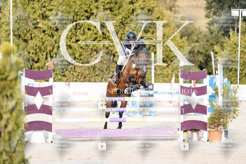 CK900870 | Turnierfotografie Pferdefotografie Trier Rheinland-Pfalz Pferdesport Reitsport Tierfotografie Sportfotografie Pferdevideo Pferdevideografie Equestrianvideography equestrianphotography  - Realisiert mit Pictrs.com