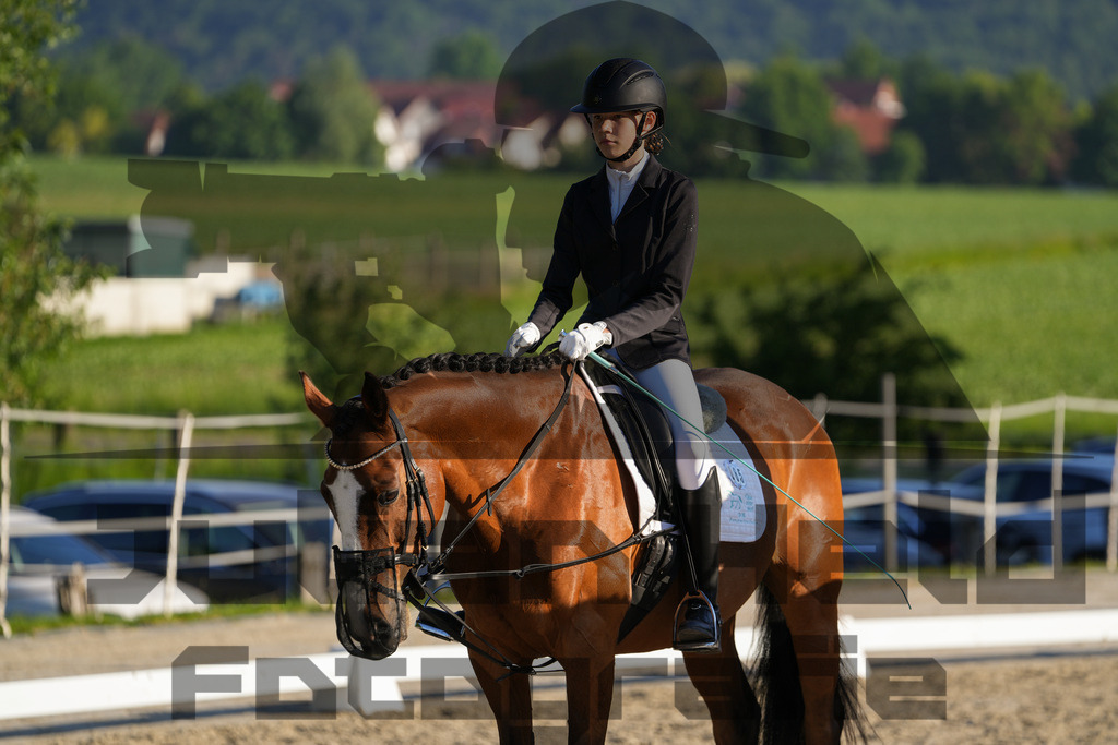 DSC02651 | Julian Held Fotografie - Realisiert mit Pictrs.com