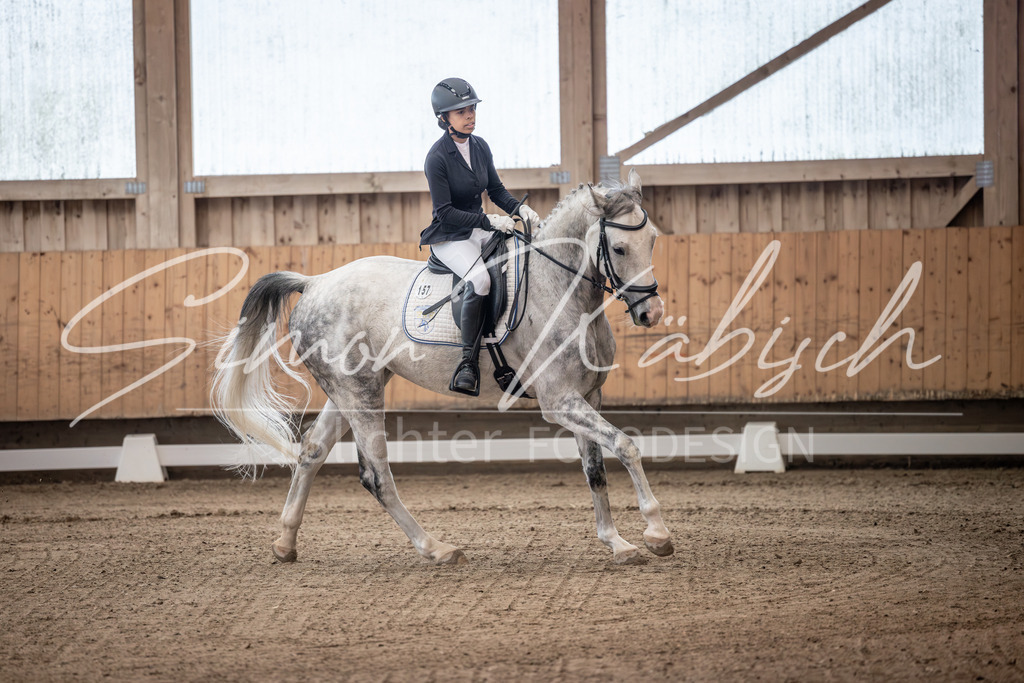 20251011-_3LI9191 | Tierfotografie Pferde, Hunde, Katzen, Haustiere.
Turnierfotografie Reitturniere, Reiten, Springreiten, Dressur in Hanau, dem Main-Kinzig-Kreis und dem Rhein-Main- Gebiet um Frankfurt
