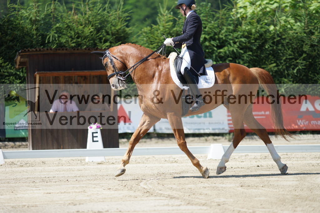 DSC02197 | equestrian-live-com