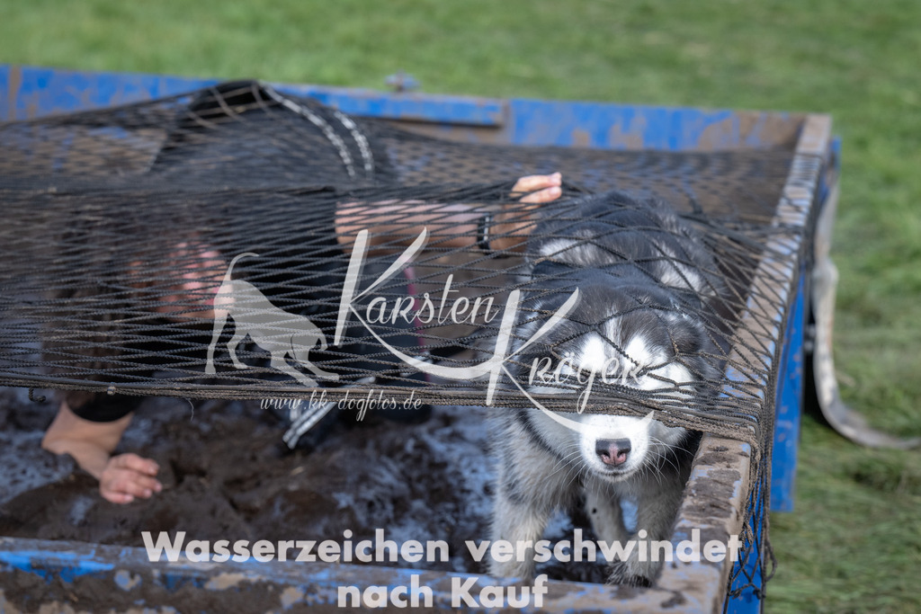 1626_ZZ92596 | kk-dogfotos