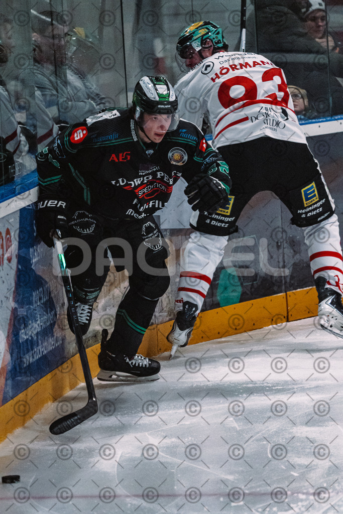Alligators_vs_Toelz_15_02_2026-21 | Höchstadt Alligators Fotogalerie: Eishockey-Action aus Franken. Professionelle Spielfotos, Portraits & Stadionbilder zum Download. Jetzt entdecken! - Realisiert mit Pictrs.com