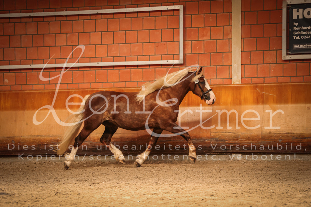 SaFL00458 | Leoni Ertmer Photography - Realisiert mit Pictrs.com