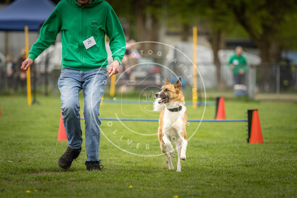 Pfotenfotografie_DV3A2688 | Hundefotografie, Tierfotograf, Pfotenfotografie, Fotoshooting Hund, Hunde Portrait, Hundesport, Hundeportraits, Heideshooting, Hunde, Sportfotograf, Hundefotograf, Turnierhundsport, THS,  - Realisiert mit Pictrs.com