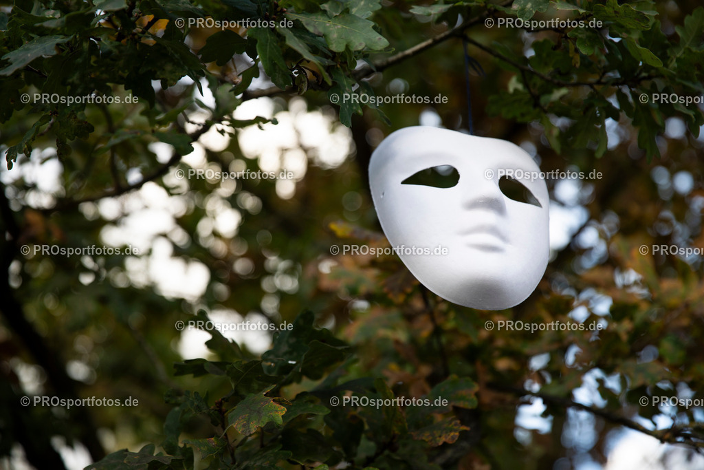 231031_SpardaBank_Halloweenlauf-118 | Professionelle Fotos Ihrer Laufsportveranstaltung.