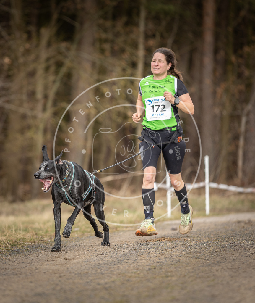 DV3A5389 | Hundefotografie, Tierfotograf, Pfotenfotografie, Fotoshooting Hund, Hunde Portrait, Hundesport, Hundeportraits, Heideshooting, Hunde, Sportfotograf, Hundefotograf, Turnierhundsport, THS,  - Realisiert mit Pictrs.com