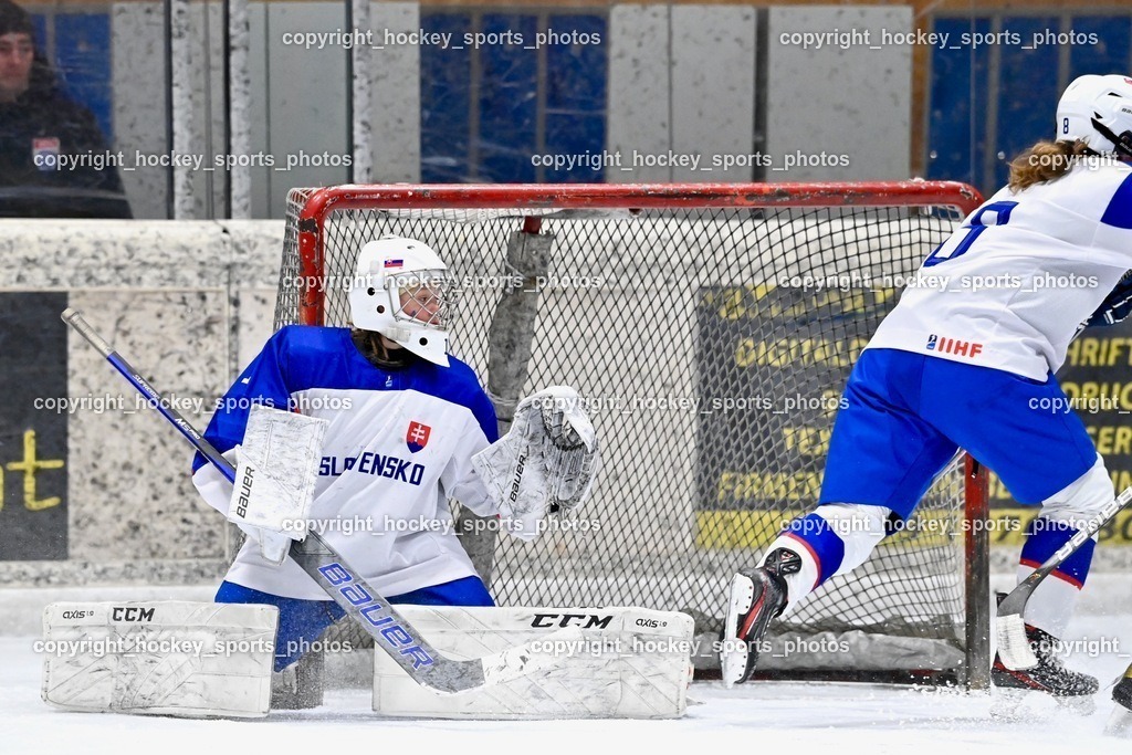 BST_3553 | hockey sports photos, Pressefotos, Sportfotos, hockey247, win 2day icehockeyleague, Handball Austria, Floorball Austria, ÖVV, Kärntner Eishockeyverband, KEHV, KFV, Kärntner Fussballverband, Österreichischer Volleyballverband, Alps Hockey League, ÖFB, 
