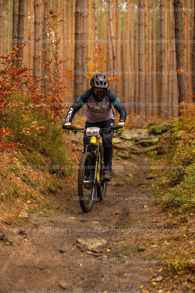 E68A2788 | blick_win_kel