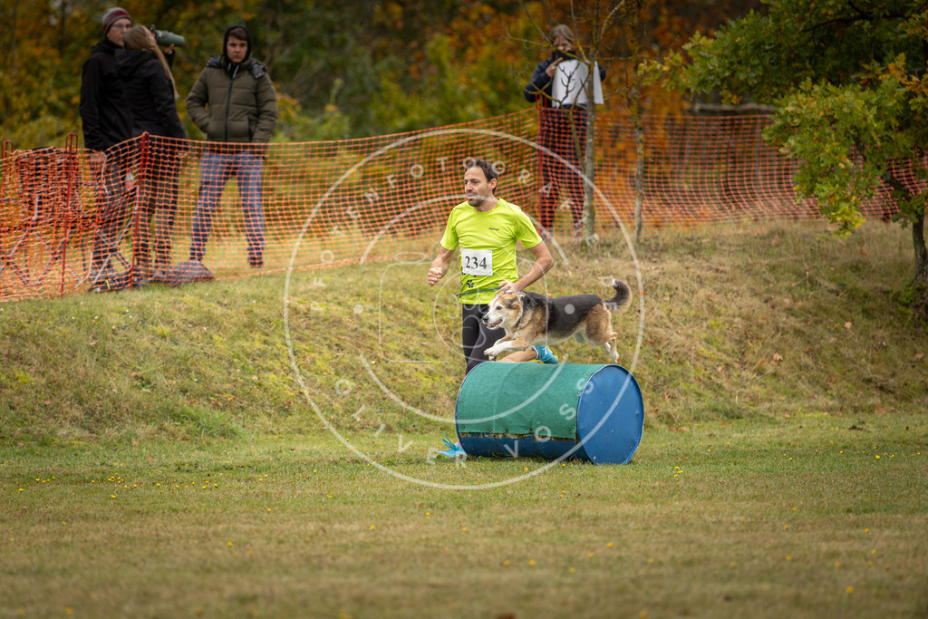 Pfotenfotografie_DV3A5661 | Hundefotografie, Tierfotograf, Pfotenfotografie, Fotoshooting Hund, Hunde Portrait, Hundesport, Hundeportraits, Heideshooting, Hunde, Sportfotograf, Hundefotograf, Turnierhundsport, THS,  - Realisiert mit Pictrs.com