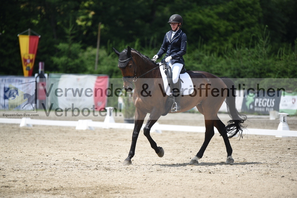 DSC_9437 | equestrian-live-com