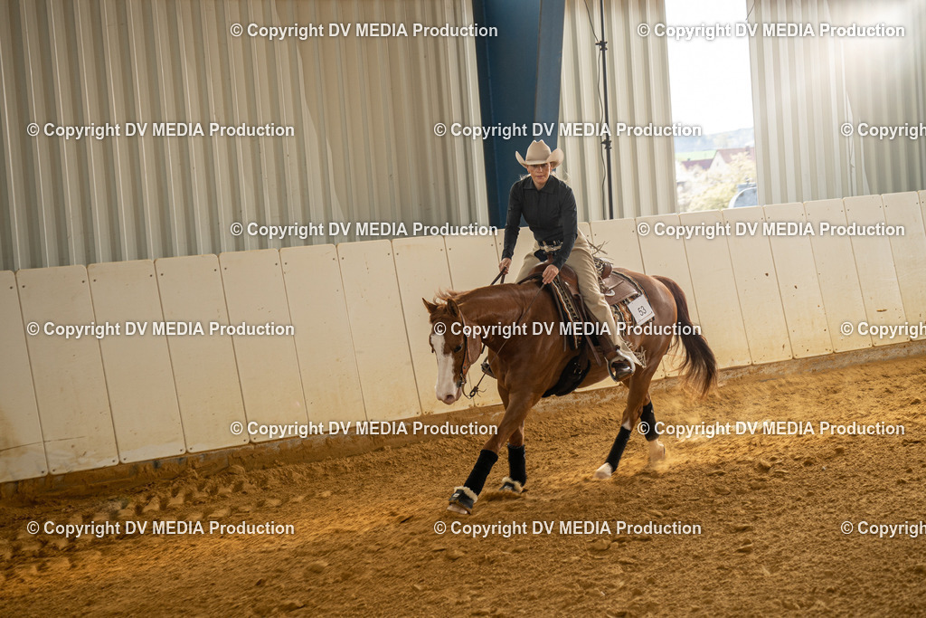 MIT01051 | dv-media-shop - Realisiert mit Pictrs.com