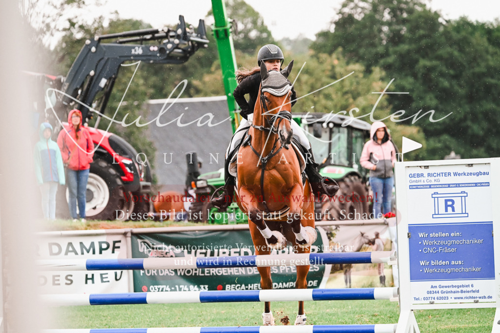 DSC_6644 | Pferde- und Turnierfotografie in Westsachsen. Pferdeportraits, Auftragszeichnungen und intuitive Kunst.