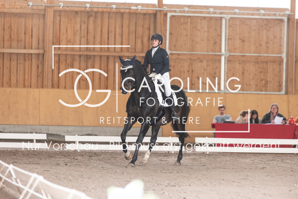 DSC_2630 | Carolin Gieschke