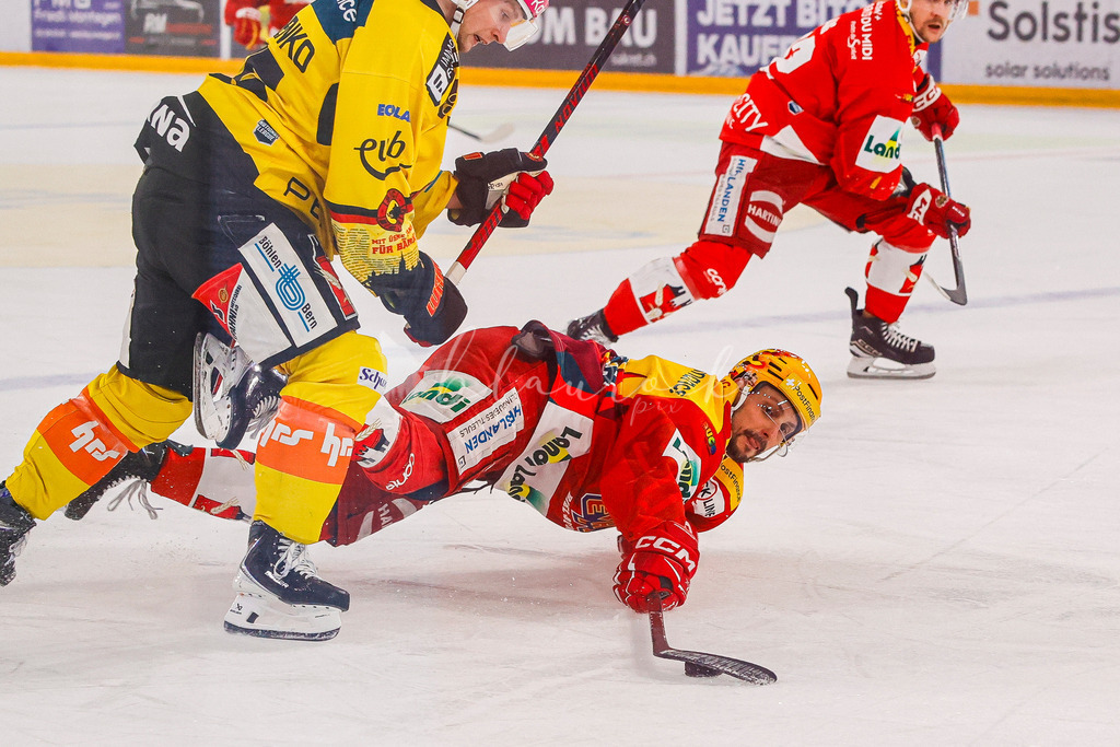 EHCB vs SCB 20260110_wb-3297 | Sportbilder, Sportfotograf, Hochzeits- und Eventfotografin, Flugshows, Portraits und Tiershooting, Aviation, Downhill, Nationalleague, Swissleague, International