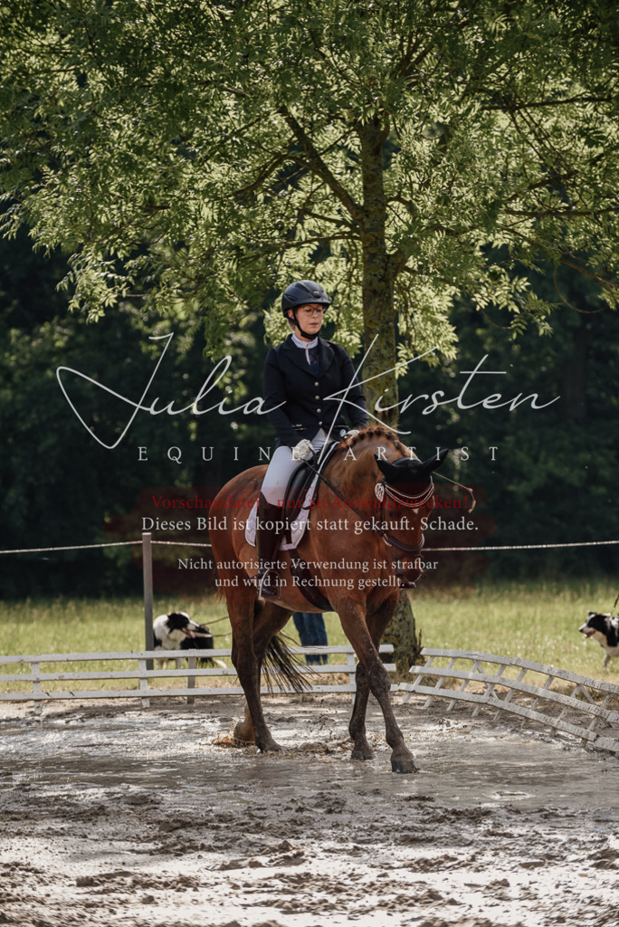 DSC_8857 | Pferde- und Turnierfotografie in Westsachsen. Pferdeportraits, Auftragszeichnungen und intuitive Kunst.