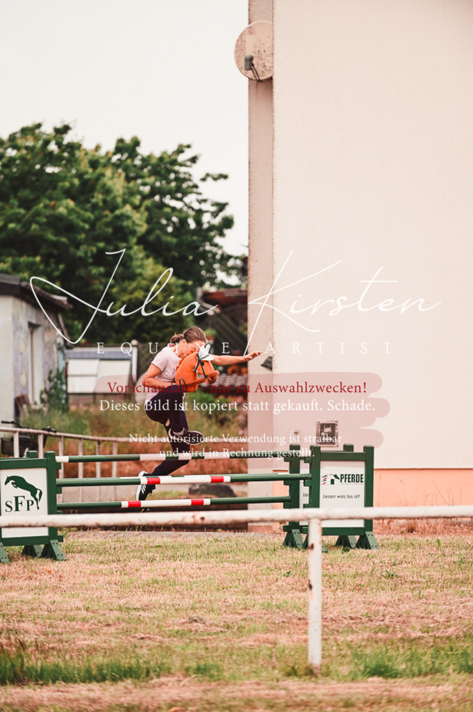 DSC_5274 | Pferde- und Turnierfotografie in Westsachsen. Pferdeportraits, Auftragszeichnungen und intuitive Kunst.