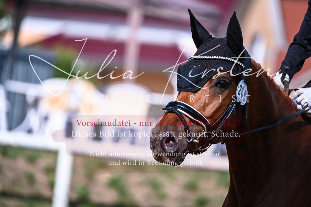 DSC_7789 | Pferde- und Turnierfotografie in Westsachsen. Pferdeportraits, Auftragszeichnungen und intuitive Kunst.