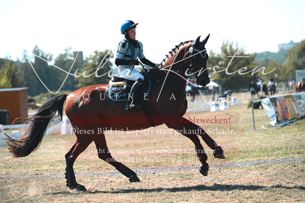 DSC_8061 | Pferde- und Turnierfotografie in Westsachsen. Pferdeportraits, Auftragszeichnungen und intuitive Kunst.