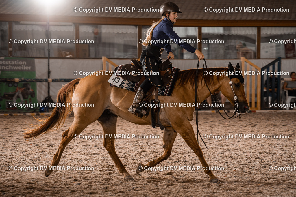 ZH300589 | dv-media-shop - Realisiert mit Pictrs.com