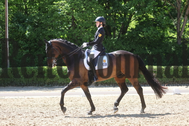 Böblingen_2025_Prfg.Nr.08_Dressurprüfung_Kl.M_Nürnberger Burgpokal_Lara Theis_FBW Felipe (16) | Alle Fotos der Reiterjournal Fotografin Doris Matthaes im Reiterjournal Online-Fotoshop. - Realisiert mit Pictrs.com