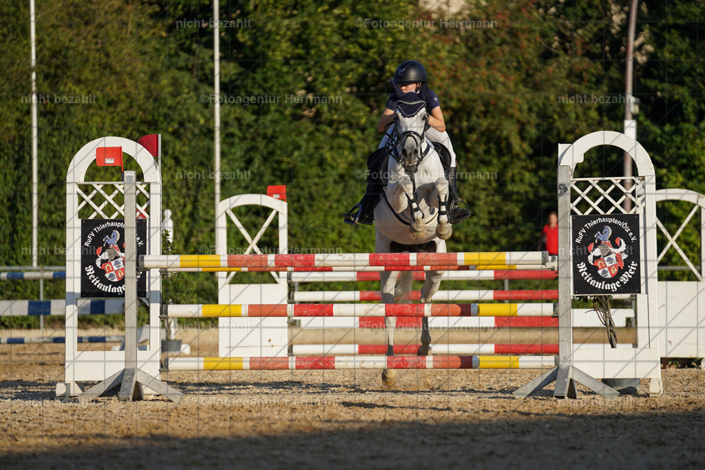 20240824-FAH08836 | Thierhaupten 2024, Bayerisches Landesponyturnier, Turnierbilder, Ponybilder, Turnierfotografen Bayern, Fotoagentur Herrmann