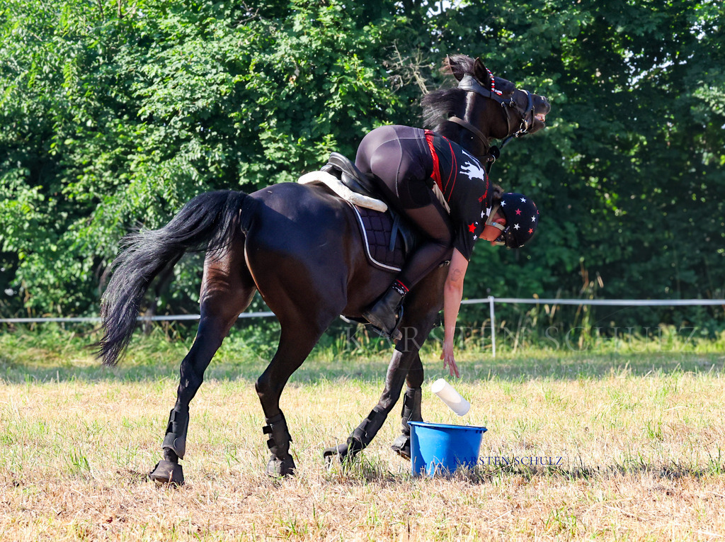 1B3A8575 | Reitsport Reiten