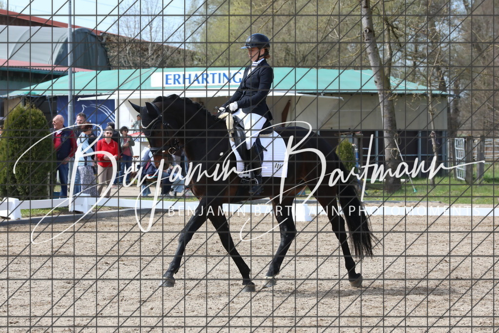 AZ2A3816 | Benjamin Bartmann Photomoments