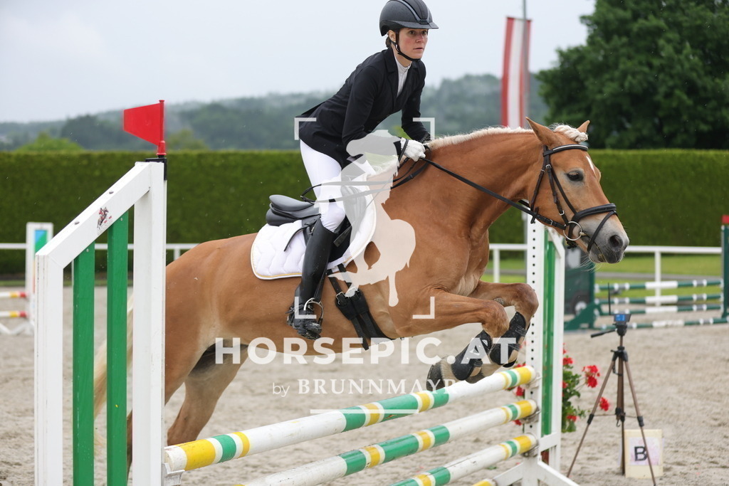 0P6A7952 | Willkommen bei Brunnmayr - Design & Fotografie – Ihrem Spezialisten für Reitturniere und Pferdeveranstaltungen in Oberösterreich, Salzburg und Bayern! Seit über 17 Jahren sind wir leidenschaftlich dabei.