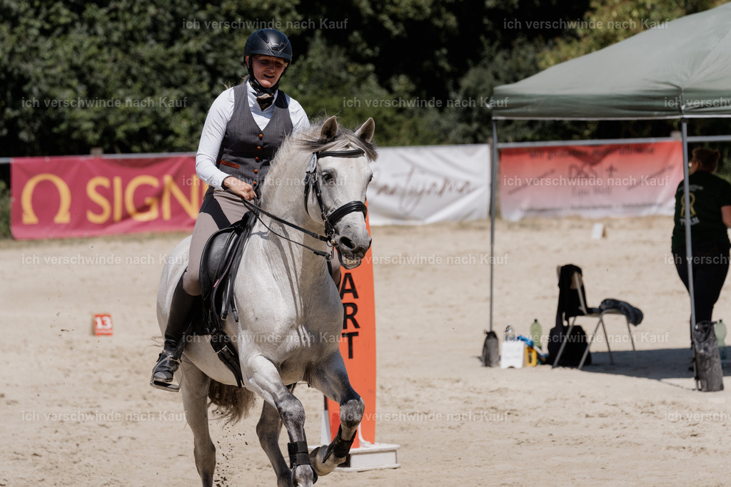 WM_SP_83_SinaFilmArt_IN07210 | working equitationturnier fotograf videograf stoibphotography marixx film working equitation deutschland reitsport turnierfotografie eventfotografie equestrian events