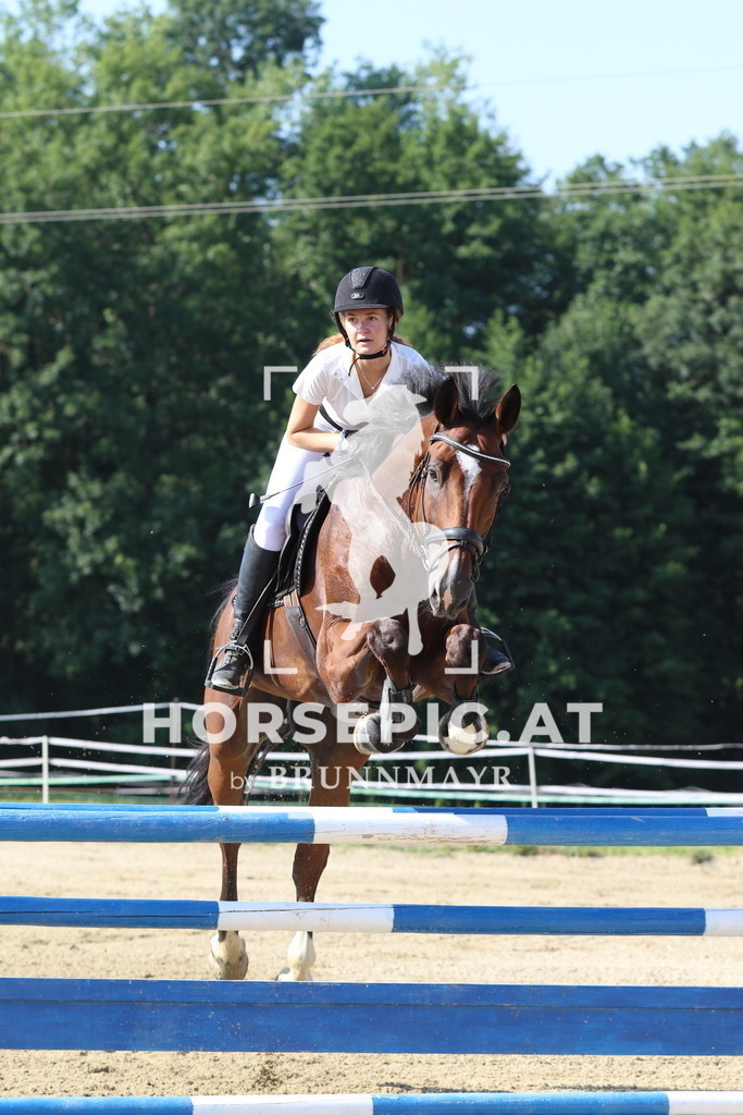 7V2A3832 | Willkommen bei Brunnmayr - Design & Fotografie – Ihrem Spezialisten für Reitturniere und Pferdeveranstaltungen in Oberösterreich, Salzburg und Bayern! Seit über 17 Jahren sind wir leidenschaftlich dabei.