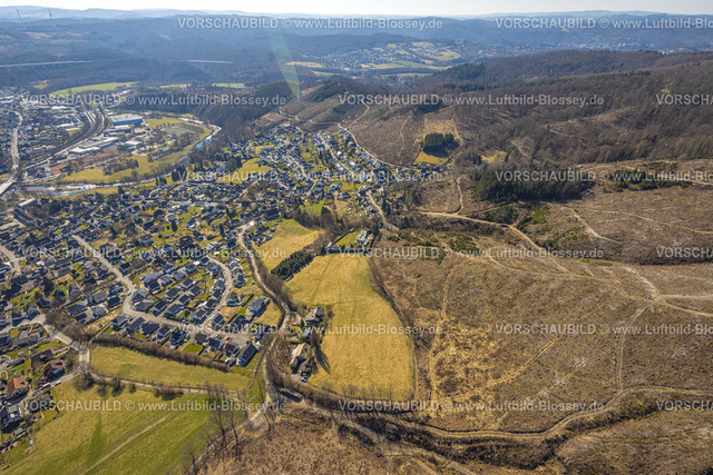 Arnsberg250305191Oeventrop | Luftbild, Waldgebiet mit Waldschäden am Ortseil Oeventrop, Glösingen, Arnsberg, Sauerland, Nordrhein-Westfalen, Deutschland
