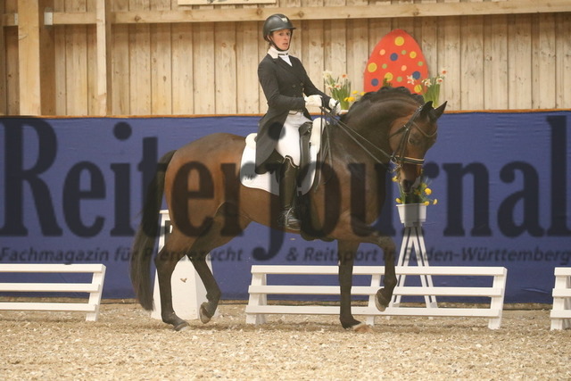 Turnier_Zeutern_2022_Prfg.Nr.02_Kurz-GrandPrix_Nicole Isser_DiCaprio 4 (7) | Alle Fotos der Reiterjournal Fotografin Doris Matthaes im Reiterjournal Online-Fotoshop. - Realisiert mit Pictrs.com
