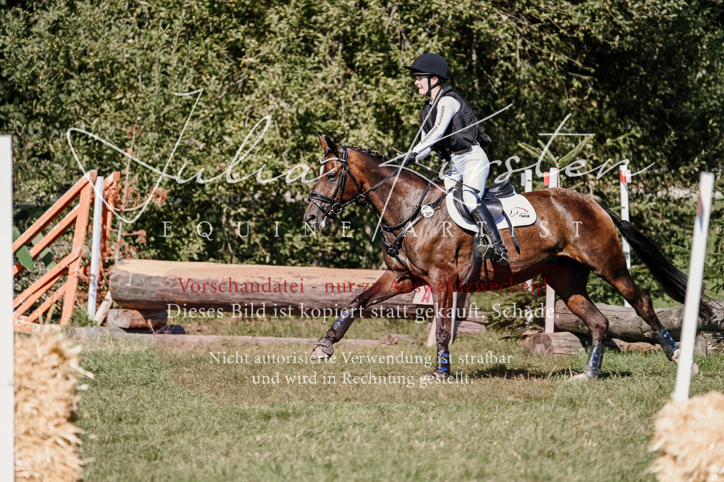DSC_2753 | Pferde- und Turnierfotografie in Westsachsen. Pferdeportraits, Auftragszeichnungen und intuitive Kunst.