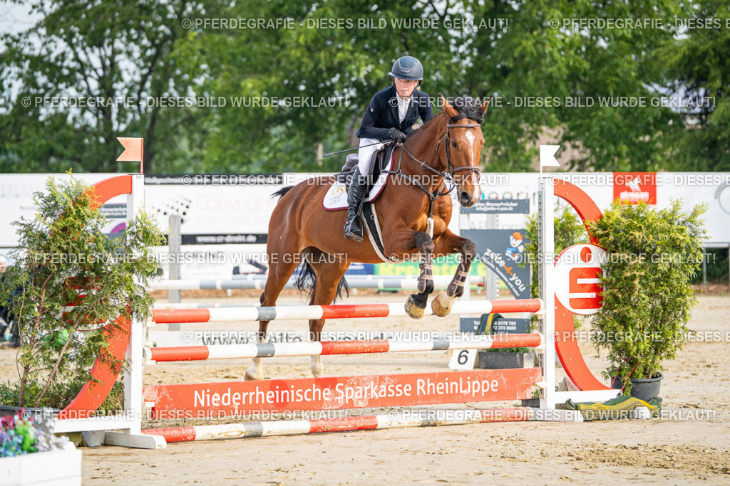 DSC08945 | Pferdegrafie