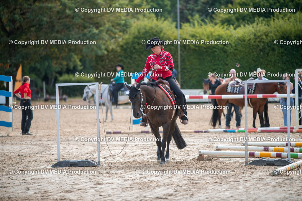 ZS3_9225 | dv-media-shop - Realisiert mit Pictrs.com