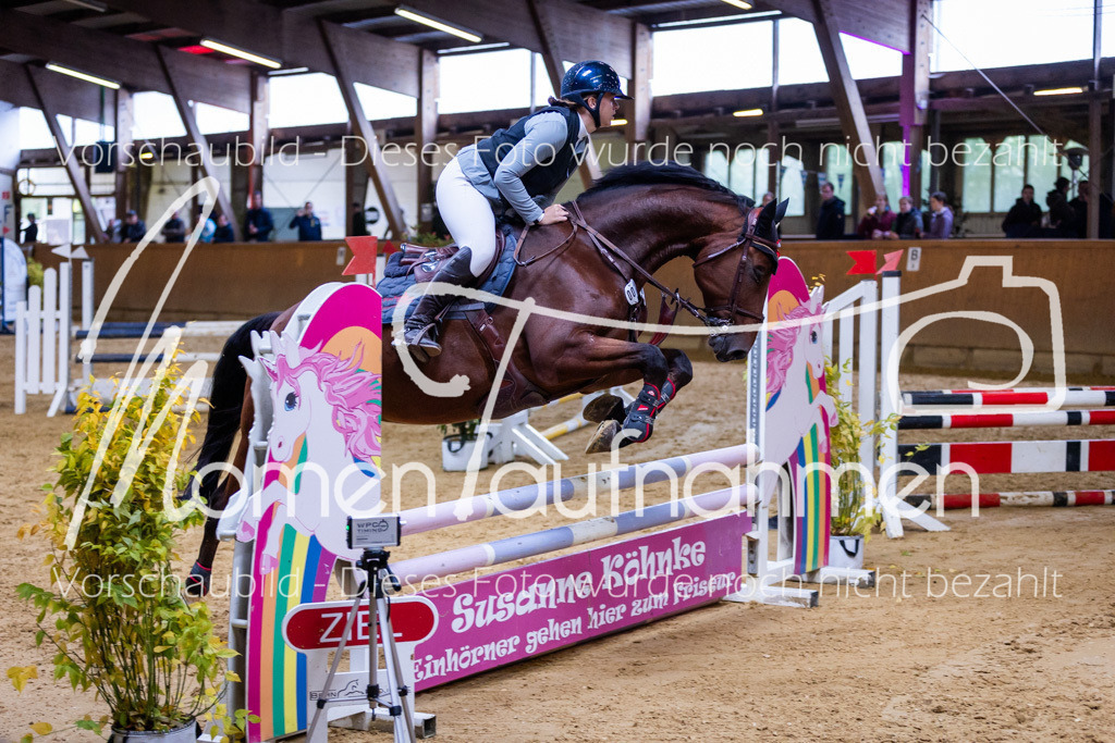 Sth-A-Springen-134 | MomenTaufnahmen Pferdesportfotos