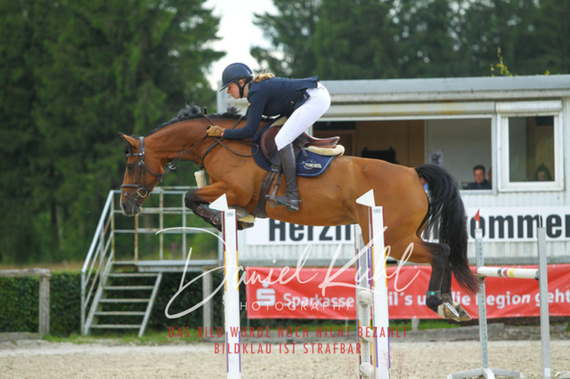 DKP44010 | Turniersportfotografie; Pferdefotografie; Dressurfotografie