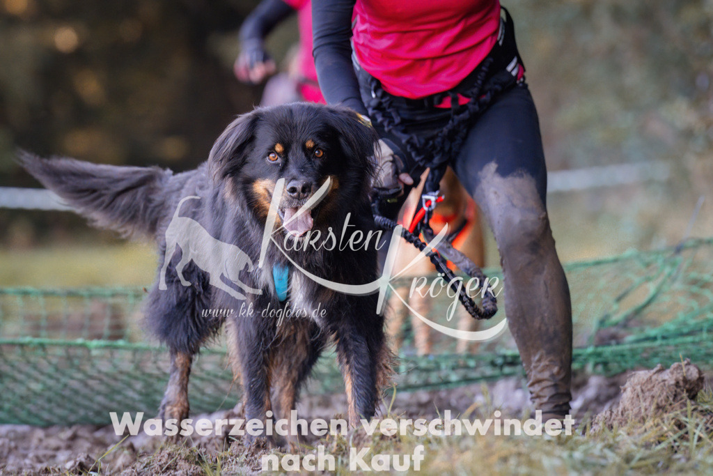1024_ZZ91191 | kk-dogfotos