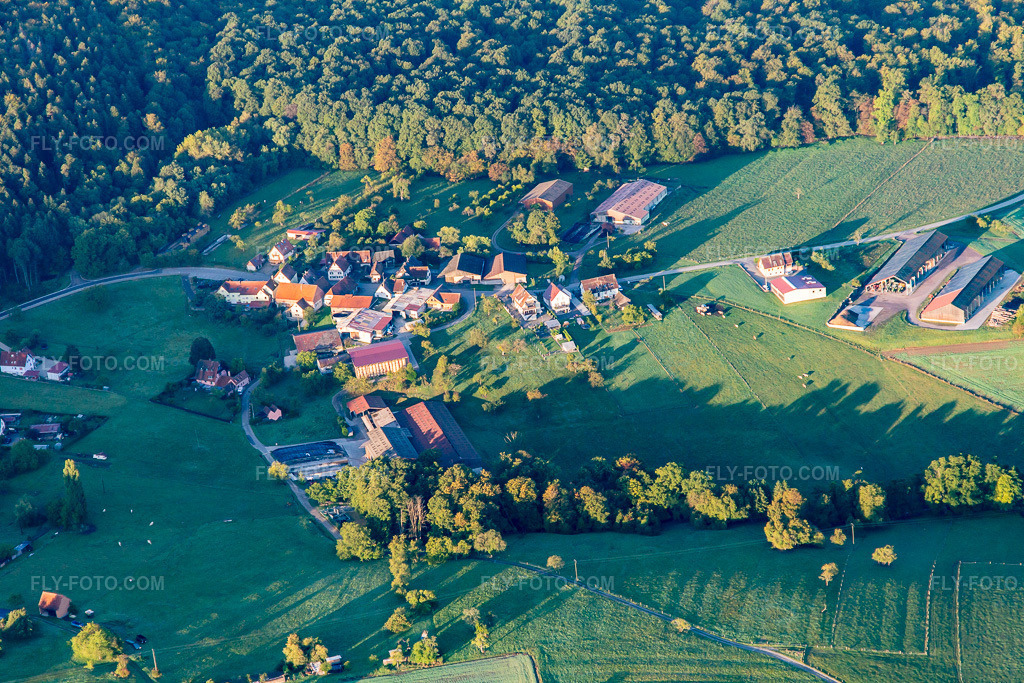 Aerial view: Pfaffenbronn in Lembach in the state Bas-Rhin, France.Photo: IMG_138842.jpg taken on 09/24/2023 by Werner Riehm/FLY-FOTO.comResolution of the original: 5472 x 3648 px