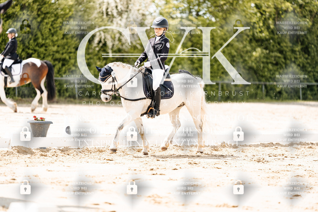 CK901820 | Turnierfotografie Pferdefotografie Trier Rheinland-Pfalz Pferdesport Reitsport Tierfotografie Sportfotografie Pferdevideo Pferdevideografie Equestrianvideography equestrianphotography  - Realisiert mit Pictrs.com