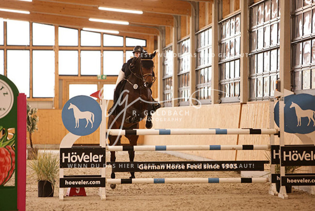 1J2A6398Annkathrin Heydenreich_ African Princess_ Kn009_ Glantz_ Hohen Wieschendorf | Foto- und Videografie für alles rund ums Pferd. Hochwertige Bilder und Videos vom Spring- und Dressurreiten, Voltigieren & mehr. Jetzt aktuelle Veranstaltungen und Preise im Shop ansehen. - Realisiert mit Pictrs.com