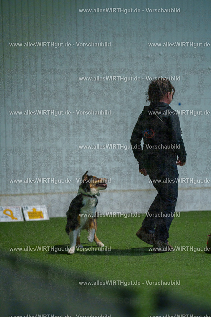 7R502020 | Professionelle Tierfotografie in Mönchengladbach von Daniel Wirth (allesWIRTHgut). Liebevolle & natürliche Bilder von Hunden & Katzen für unvergessliche Erinnerungen.