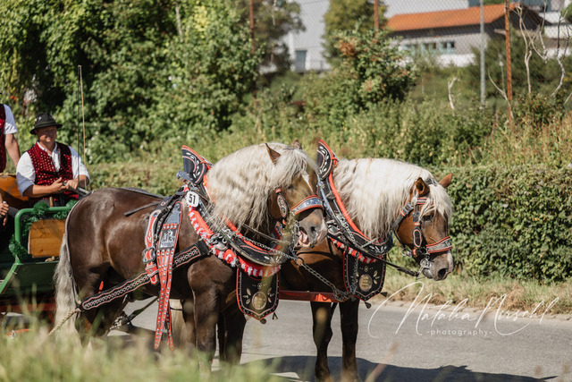 7V6A1832 | natalia-nirschl-photography