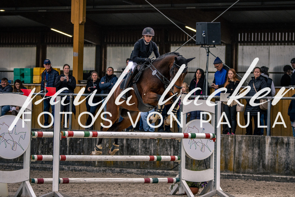 IMG_5991 | Erleben Sie dynamische Sport- und emotionale Tierfotografie in Süddeutschland mit Fotos von Paula. Spezialisiert auf Pferde- und Hundefotografie sowie Sportevents. Kontaktieren Sie mich für einzigartige und ausdrucksstarke Bilder Ihrer besonderen Momente.
