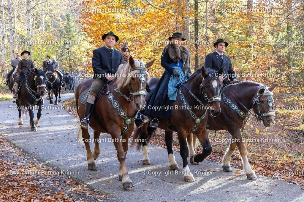 LL24-335 | foto-bettina-krinner - Realisiert mit Pictrs.com