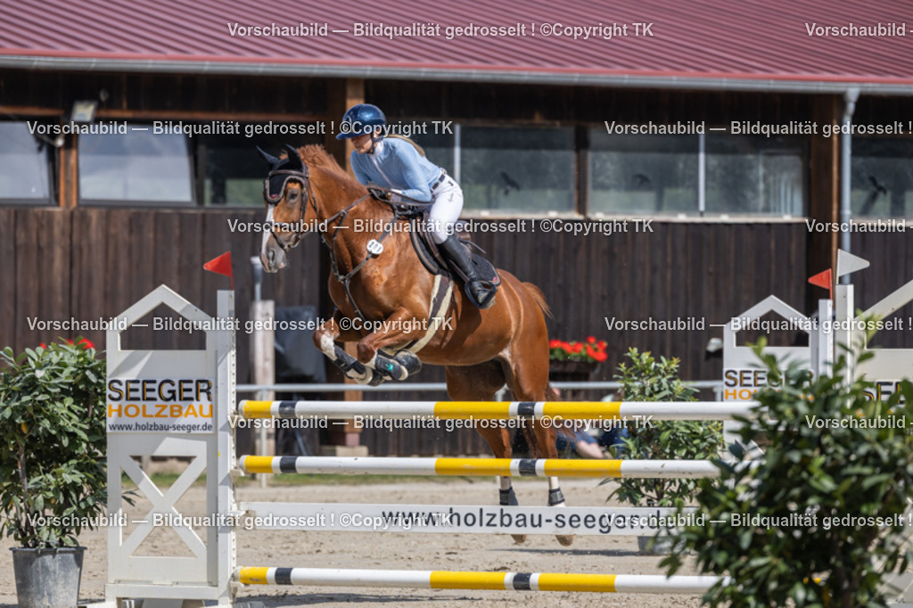 _D5A1419 | Emotionale Pferde- & People-Fotografie rund um Heidelberg, Leimen & Umgebung. Natürliche Fotos von Pferd, Mensch & Familie. Jetzt Termin sichern!