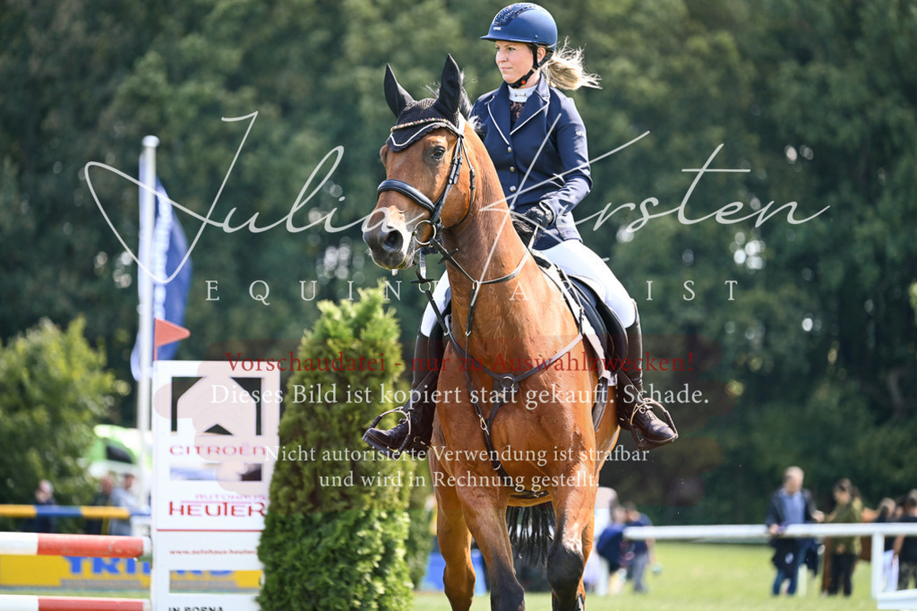 DSC_8841 | Pferde- und Turnierfotografie in Westsachsen. Pferdeportraits, Auftragszeichnungen und intuitive Kunst.
